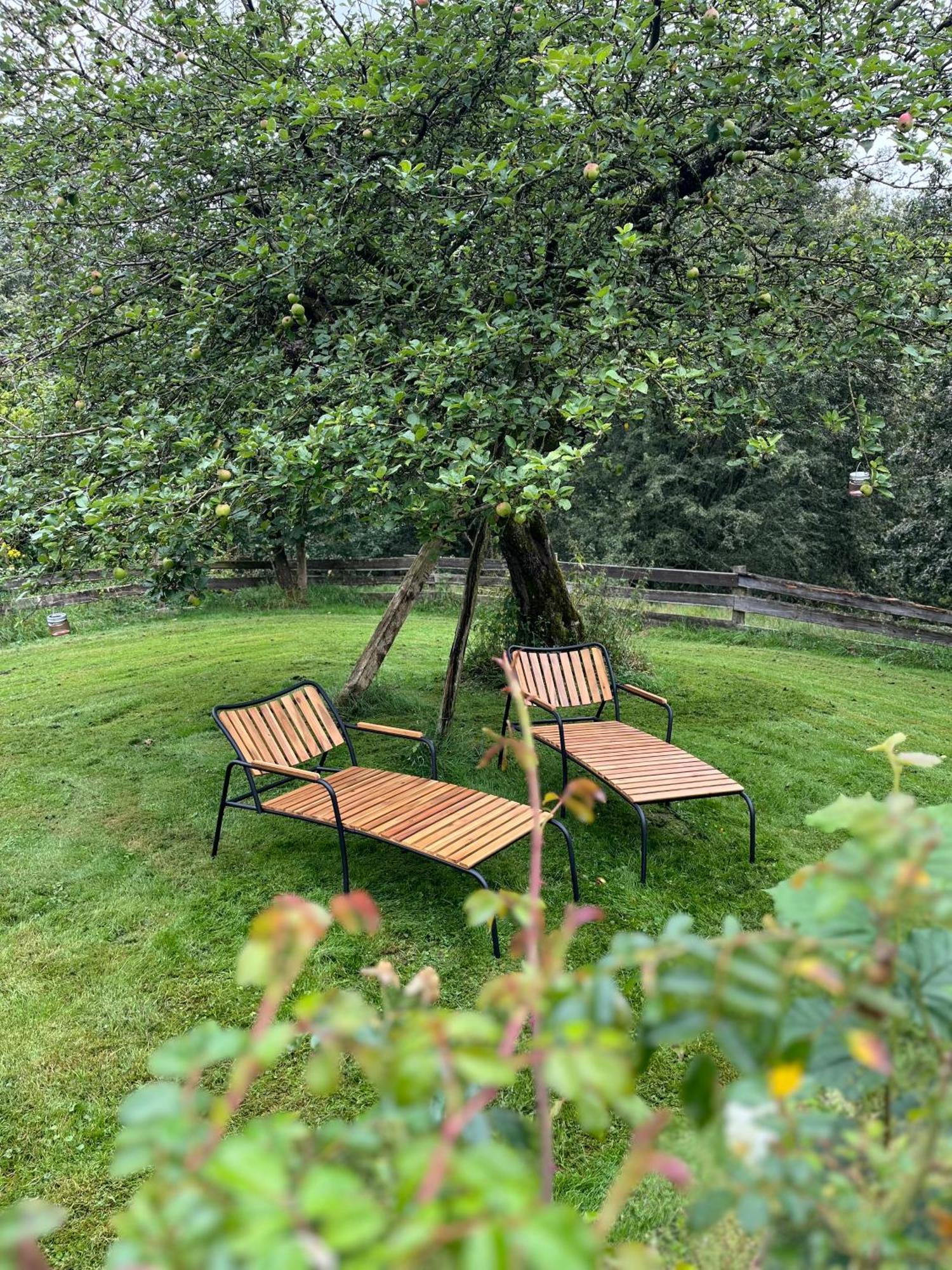 Villa Fachwerkhaus Am Waldesrand à Solingen Extérieur photo
